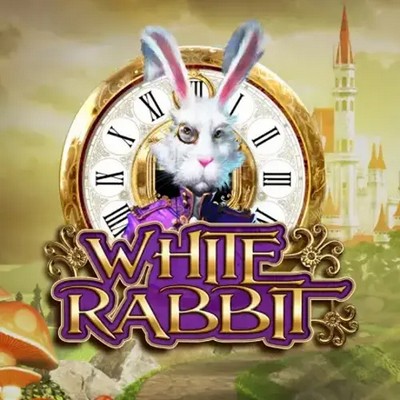 white-rabbit